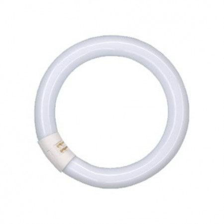 TUBO FLUORESCENTE CIRCOLINA TRIFOSFATO 32W G10q 6500K