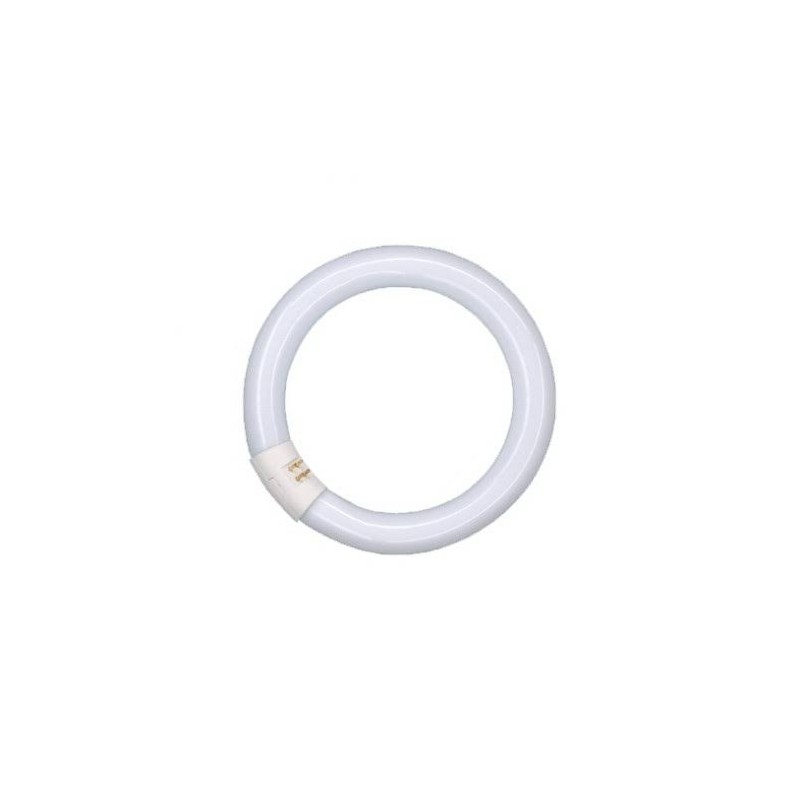 TUBO FLUORESCENTE CIRCOLINA TRIFOSFATO 32W G10q 6500K