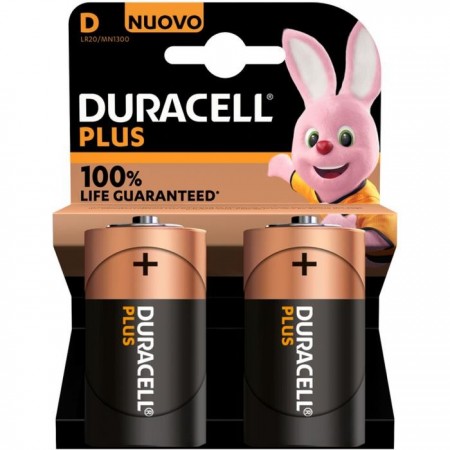 BLISTER BATTERIA TORCIA "D" ALKALINA