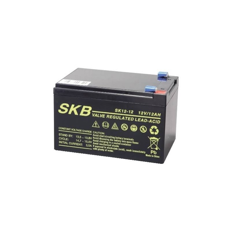 BATTERIA RICARICABILE AL PIOMBO ATTACCO FASTON 6,3mm 12V/12AH